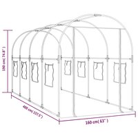 Tuinkas 160x400x190 cm PVC en gepoedercoat staal transparant 6