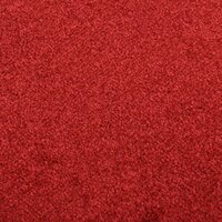 Deurmat 40x60 cm rood 5
