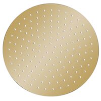 Regendouchekop rond 30 cm roestvrij staal goudkleurig 2