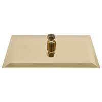 Regendouchekop rechthoekig 30x20 cm roestvrij staal goudkleurig 4