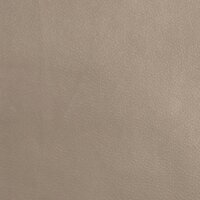 Loungestoel 55x64x80 cm kunstleer cappuccinokleurig 7