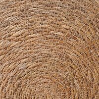 Zeegroene placemats 6 st Naturel 100% Zeegras 4