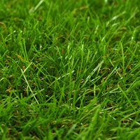 Kunstgras 1,5x10 m/40 mm groen 2