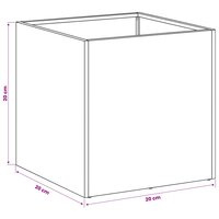 Plantenbak Roestkleurig 20 x 20 x 20 cm weervast staal 9