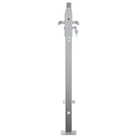 Tuinpoort met slot Zilver 85 x 70 cm Roestvrij staal 5