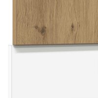 Vaatwasserpaneel Lyon 45x3x67 cm bewerkt hout artisanaal eiken 6