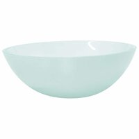 Wasbak 50x37x14 cm glas mat 2