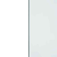 Vuurplaats Glazen Plaat Transparant 120 x 60 cm Glas 6