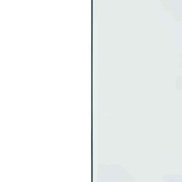 Vuurplaats Glazen Plaat Transparant 100 x 50 cm Glas 6