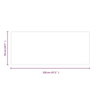 Vuurplaats Glazen Plaat Transparant 120 x 50 cm Glas 7