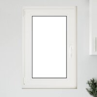 Draaikiepraam RISOR 60 x 100 cm 3