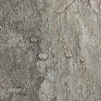 Vloerplanken Steen muur 5,11 m&sup2; 55 st PVC 9
