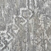 Vloerplanken Beton Grijs 5,11 m&sup2; 55 st PVC 8
