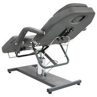 Massagetafel 180x62x(87-112) cm grijs 5