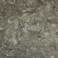 Zelfklevende Vloerplanken Zwart en Grijs 30,5 x 30,5 cm 20 st 7