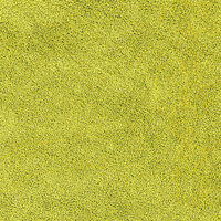 Antislip Badmat Groen 50 x 80 cm PP 7