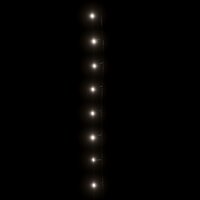 Lichtsnoer 1000 LED&amp;apos;s binnen en buiten IP44 100 m koudwit 5
