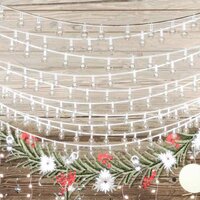 Lichtsnoer met 200 LED&amp;apos;s 8 functies koudwit 20 m 3