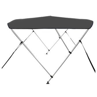 Biminitop 3-boogs 183x196x137 cm antracietkleurig 4