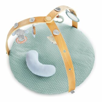 Speelkleed Ingenuity Omkeerbaar Hout 3