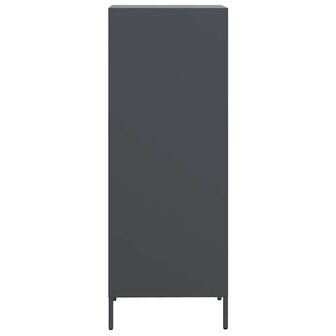 Hoge kast 35x39x103,5 cm staal antracietkleurig 6