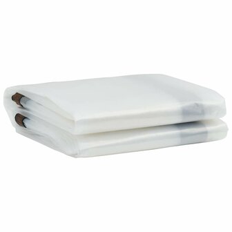 Doorzichtig zeildoek met zeilringen 2x10 m polyethyleen 3