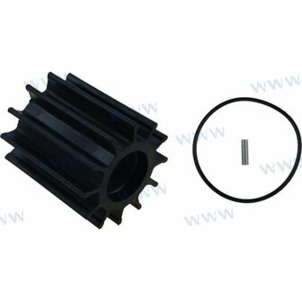 CEF500192GX - Impeller 29000K Cummins 1