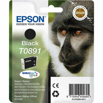 Originele inktcartridge Epson T0891 Zwart 1