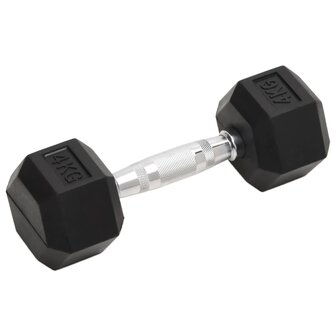 Halters 2 st 8 kg totaal gietijzer 2