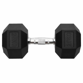 Halters 25 kg gietijzer 3