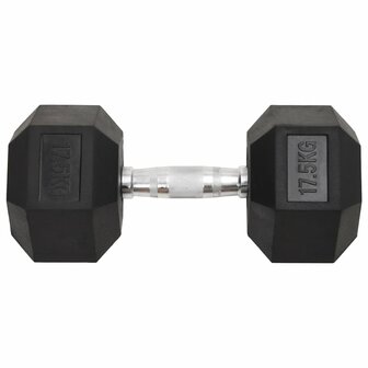 Halters 17,5 kg gietijzer 2