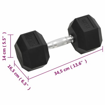Halters 17,5 kg gietijzer 7