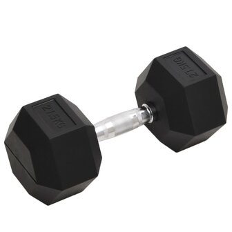 Halters 27,5 kg gietijzer 1