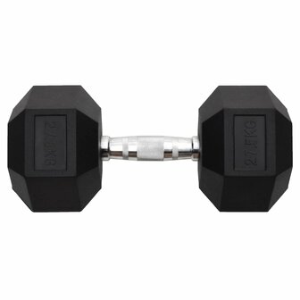 Halters 27,5 kg gietijzer 3