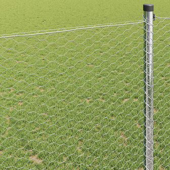 Hexagon Hek Zilver 1 x 10 m Gegalvaniseerd staal 4