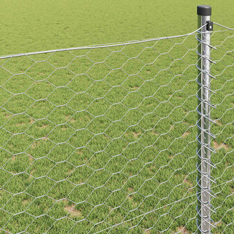 Hexagon Hek Zilver 0,6 x 25 m Gegalvaniseerd staal 4