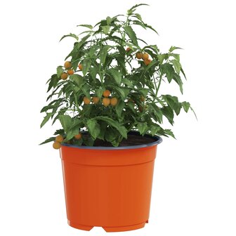Bloempot 200 pcs Keramiek &Oslash; 15 x 12.5 cm Kunststof 3