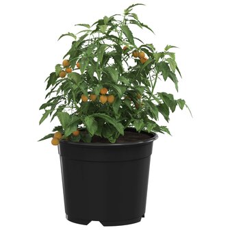 Bloempot 200 pcs Zwart &Oslash; 15 x 12.5 cm Kunststof 3