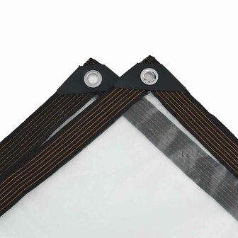 Doorzichtig zeildoek met zeilringen 1x8 m polyethyleen 6