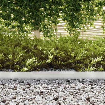 Tuinrand Zilver 450 x 0.05 x 15 cm Roestvrij staal 5