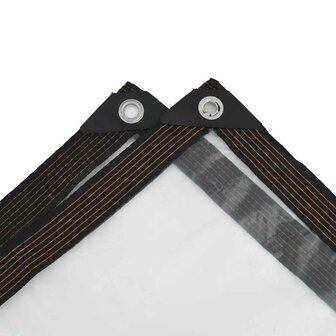 Doorzichtig afdekzeil met ogen 3x3 m polyethyleen 6