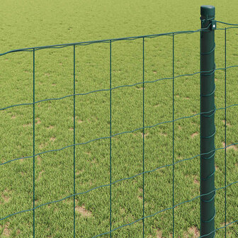 Euro Hek Groen 0,4 x 10 m PVC-gecoat ijzer 4