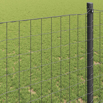 Euro Hek Grijs 0,4 x 10 m PVC-gecoat ijzer 4