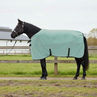 Paardendeken Speciale Groen Polyester 1
