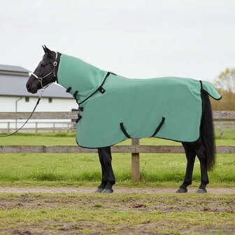 Paardendeken Speciale Groen Polyester 1