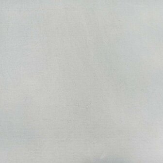 Tuinrand 10 pcs Zilver 100 x 0.05 x 20 cm Gegalvaniseerd staal 6