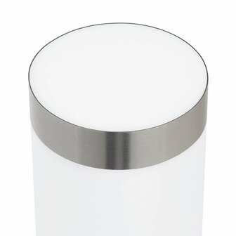 Buiten Wandlamp 2 pcs Zilver 15 x 7,5 x 33 cm 8