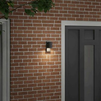 Buiten Wandlamp Zwart 6,5 x 10,5 x 16 cm RVS en Glas 3