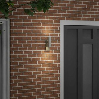 Buiten Wandlamp Zilver 7 x 10 x 22 cm RVS en Glas 3