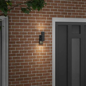 Buiten Wandlamp Zwart 7 x 10 x 22 cm RVS en Glas 3